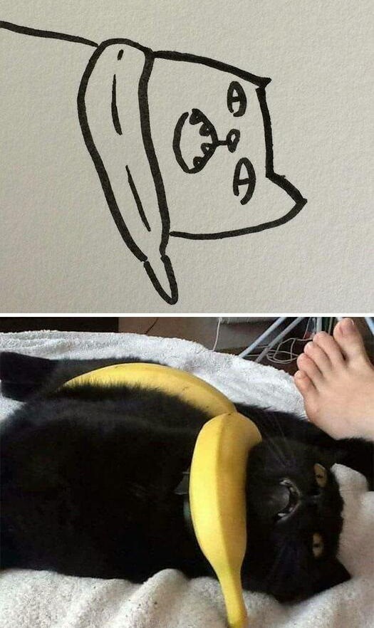 Bức tranh vẽ mèo của bé bị chấm 0 điểm, mẹ đi kiện, đưa ra hình ảnh thực tế khiến cô vội xin lỗi - 9