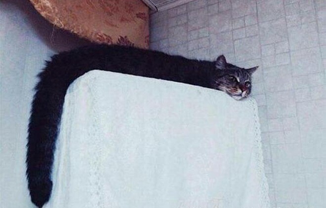 Hình ảnh thực tế khiến cô giáo cũng phải bất ngờ.