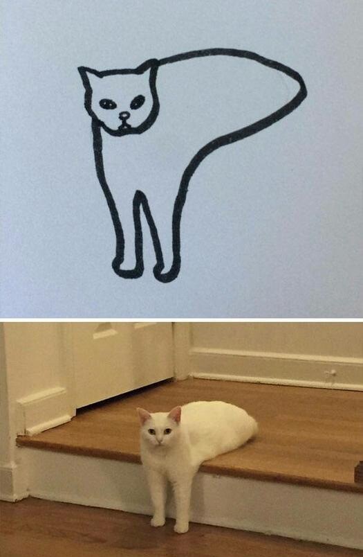 Bức tranh vẽ mèo của bé bị chấm 0 điểm, mẹ đi kiện, đưa ra hình ảnh thực tế khiến cô vội xin lỗi - 3