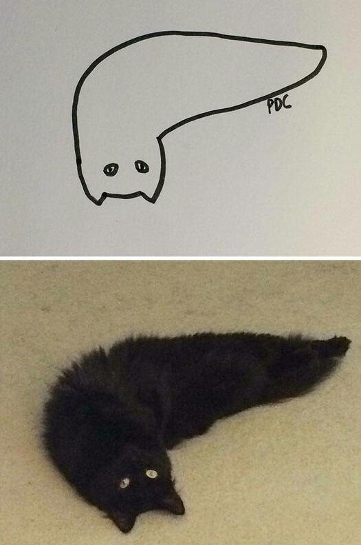 Bức tranh vẽ mèo của bé bị chấm 0 điểm, mẹ đi kiện, đưa ra hình ảnh thực tế khiến cô vội xin lỗi - 4