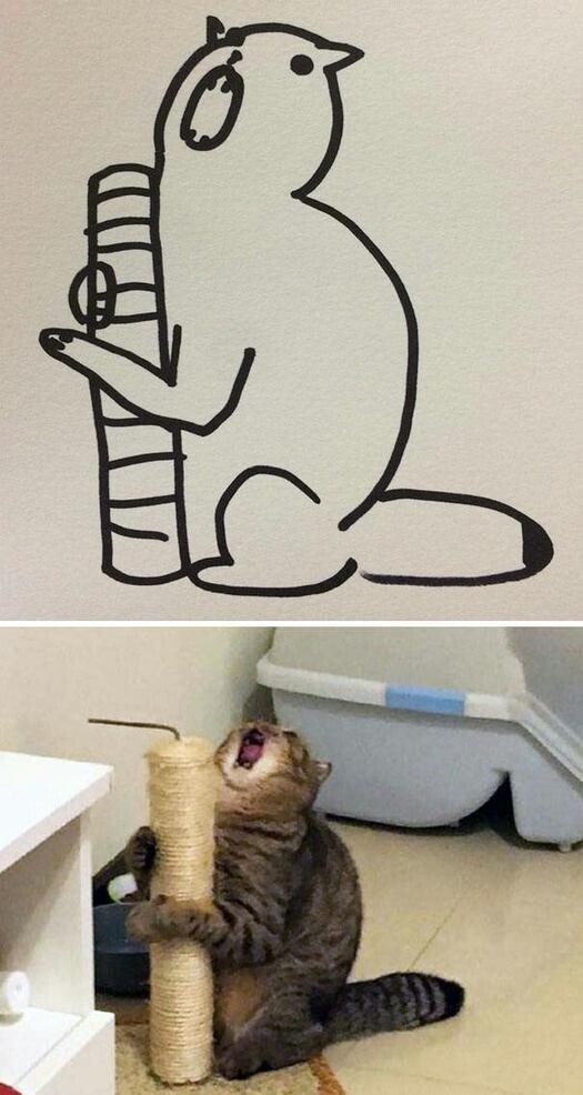 Bức tranh vẽ mèo của bé bị chấm 0 điểm, mẹ đi kiện, đưa ra hình ảnh thực tế khiến cô vội xin lỗi - 5