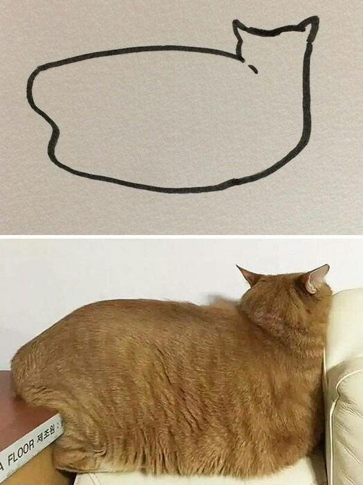 Bức tranh vẽ mèo của bé bị chấm 0 điểm, mẹ đi kiện, đưa ra hình ảnh thực tế khiến cô vội xin lỗi - 7