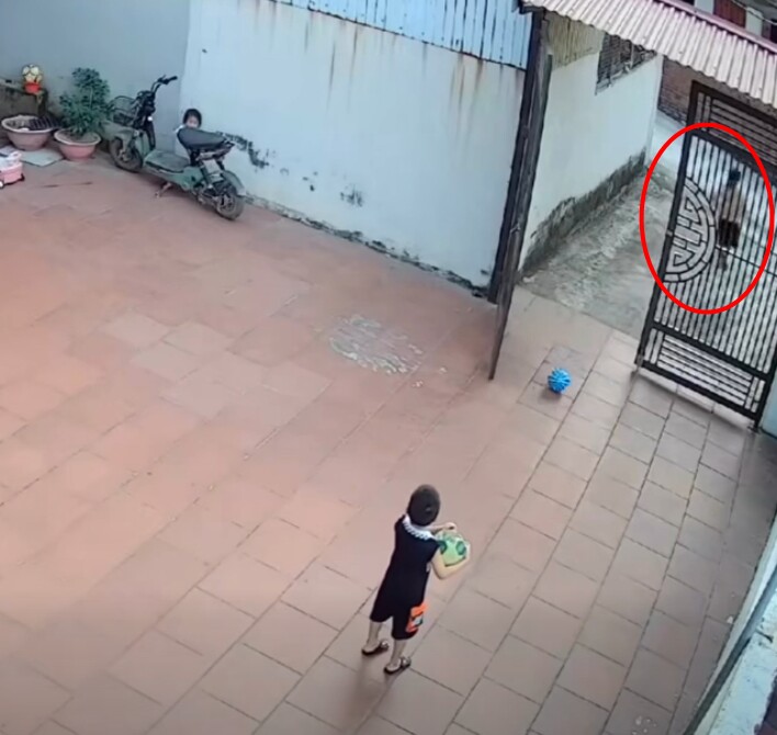 Camera ghi lại cảnh người mẹ hoảng loạn đi tìm con gái mất tích chỉ trong nháy mắt và cái kết bật cười - 5