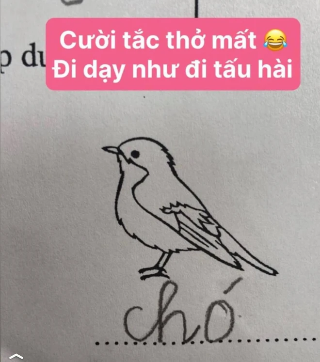 Hình rõ con chim nhưng đáp án lại là con chó.