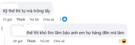 Mẹ Hà Nội tuyển giúp việc lương 20 triệu/tháng gây tranh cãi khi đưa ra yêu cầu - 5