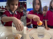 Yêu con - Thử thách lấy quả quýt ra khỏi cốc nước đầy, cả lớp chỉ duy nhất 1 học sinh làm được theo cách không ngờ