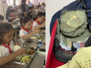 Yêu con - Con luôn khen cơm trưa ở trường ngon lắm, mẹ lục cặp sách thấy vật lạ bốc mùi mốc xanh