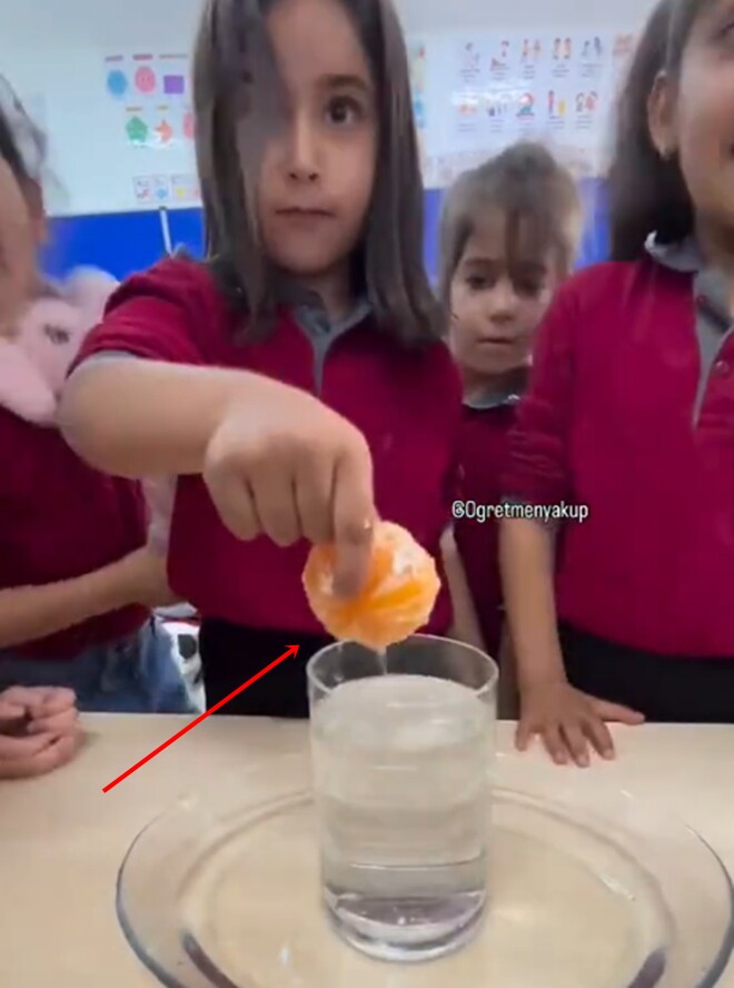 Và cô bé thành công lấy được quả quýt ra khỏi cốc nước mà nước không bị tràn ra ngoài.