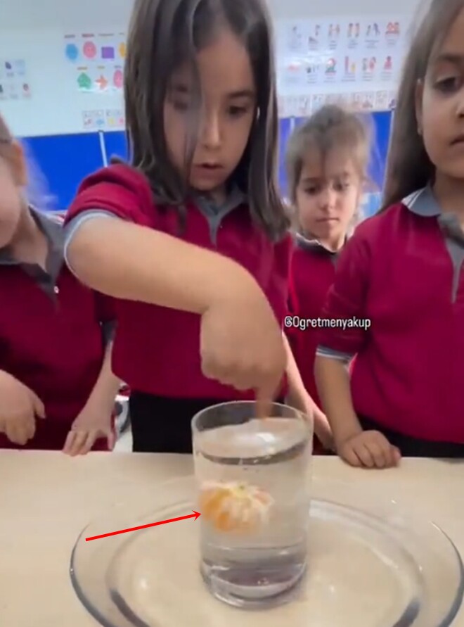 Quả quýt từ từ nổi lên trên.