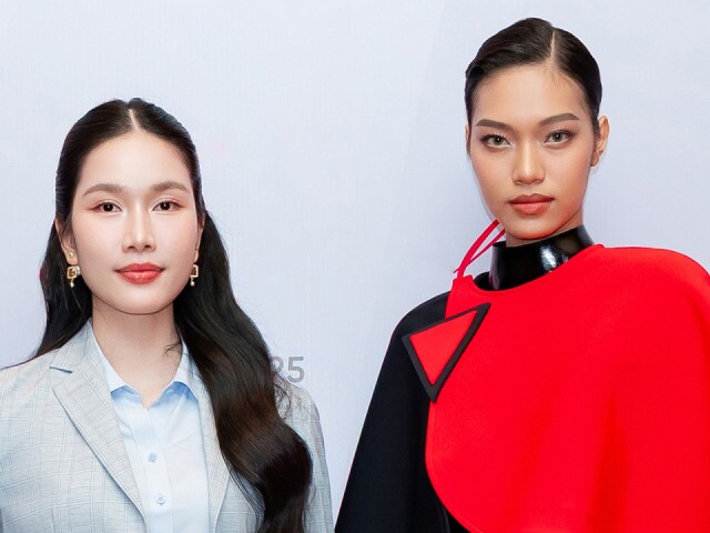 Phương Anh, Lại Mai Hoa đối lập phong cách