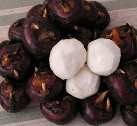 Cây mọc dưới bùn đất xưa dành cho người nghèo, nay thành đặc sản ăn ngọt như táo giúp thanh nhiệt, giải độc - 1