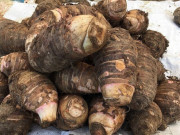 Lộc trời xưa chẳng ai ăn ở Mộc Châu, nay thành đặc sản dân thành phố lùng mua, giá đến 120.000 đồng/kg