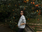 Lifestyle - Đà Lạt vào mùa hồng chín – góc nào cũng lên hình đẹp mê như Tăng Thanh Hà