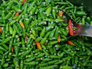 Lifestyle - Loại quả bé tí xưa mọc dại trên rừng chẳng ai hái, nay "lên đời" được chị em săn lùng dù giá đến 1 triệu/kg