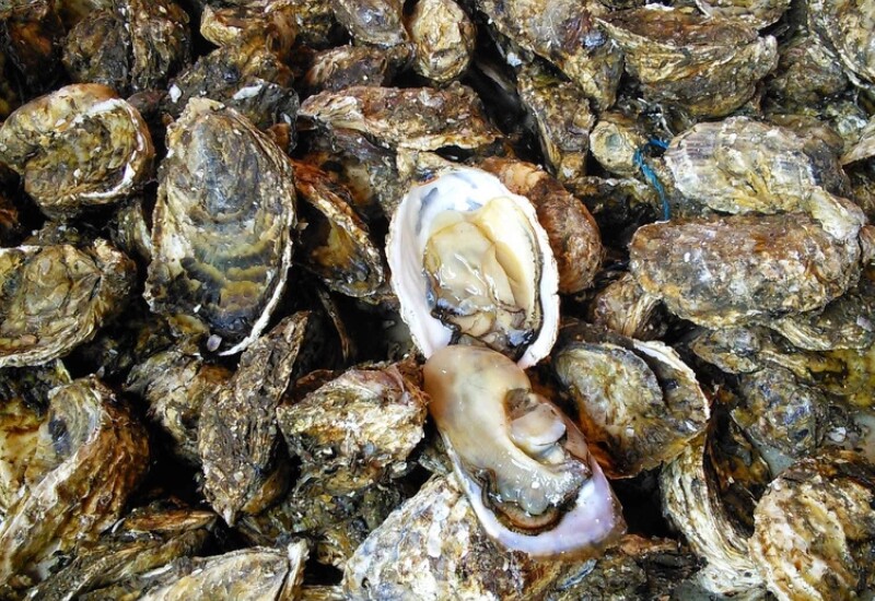 Hàu là loại hải sản quen thuộc, giá vừa phải chỉ từ 40.000 đồng/kg nhưng giàu protein, omega-3, kali, magie, kẽm và vitamin D. Những dưỡng chất này giúp giãn mạch, ổn định nhịp tim, giảm viêm và hỗ trợ điều hòa huyết áp, từ đó góp phần bảo vệ sức khỏe tim mạch.