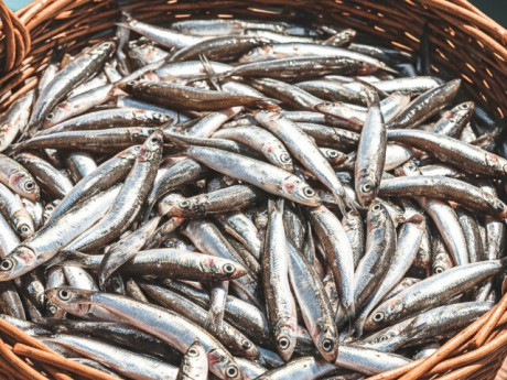 Sức khỏe - 12 loại thủy hải sản giàu dinh dưỡng, bảo vệ tim mạch bán đầy ở chợ Việt, từ 5.000 đồng là mua được