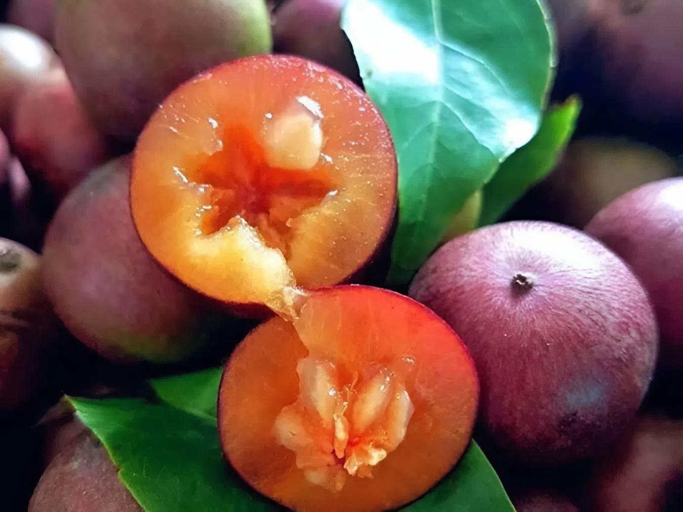 Để bảo quản quả hồng quân, bạn cần rửa sạch chúng và có thể ngâm chung với nước muối để loại bỏ các vi khuẩn.