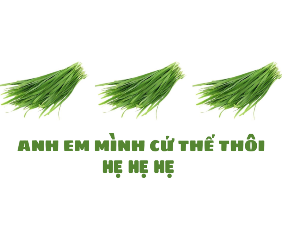 Khác với những kiểu cười quen thuộc như “haha” hay “hihi”, “hẹ hẹ hẹ” tạo ấn tượng bằng cách kéo dài âm, nghe vừa ranh mãnh vừa duyên ngầm, khiến người đọc dễ hình dung sắc thái biểu cảm.