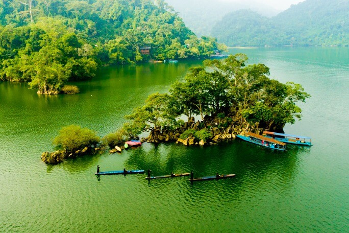 1765267705 454 Thumbnail Width890Height593