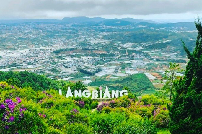 1765886762 482 Thumbnail Width774Height516