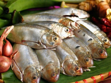 10 loại cá giàu canxi hơn cá hồi, giá rẻ như cho bán đầy chợ Việt, từ 10.000 đồng là mua được