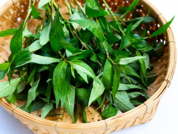 13 loại rau gia vị ít “ngậm” hóa chất, vừa giúp món ăn ngon, vừa tốt cho sức khỏe, từ 2.000 đồng đã...