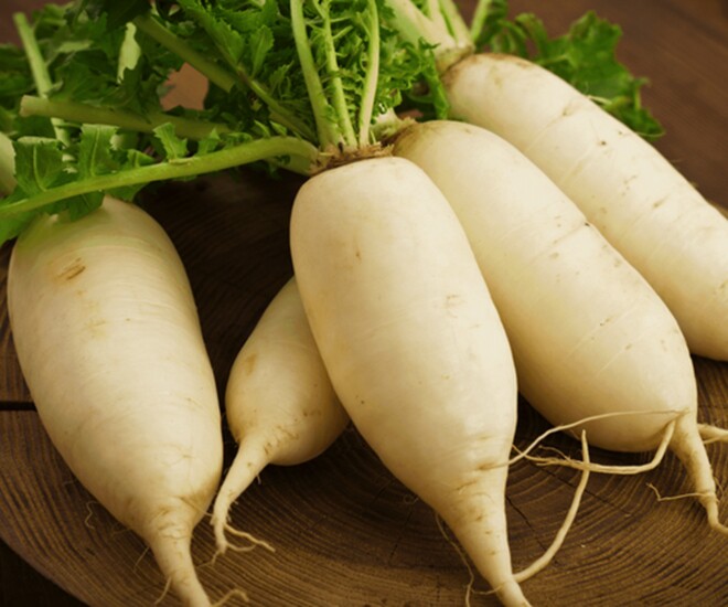 Củ cải trắng được ví như nhân sâm mùa đông, tốt cho cả trẻ nhỏ và người lớn. Ảnh minh họa. 