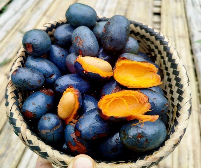 Quả cọ chứa nhiều chất béo và nguồn dinh dưỡng khác nên mang lại nhiều lợi ích cho sức khỏe. Ảnh minh họa. 