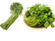 Sức khỏe - Cải xoong và cần nước, rau nào tốt hơn? Hai loại đều có một điểm chung dễ gây tổn thương gan mà ít người biết