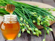 Sức khỏe - Loại rau chỉ vài nghìn đồng/bó, là “vựa kháng sinh” tự nhiên giúp trị ho, sốt cho trẻ lúc giao mùa cực hiệu quả