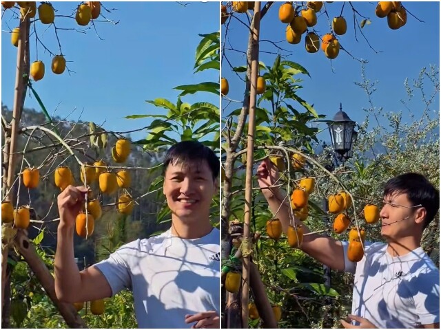 Trồng loại cây “đẻ ra vàng”, Mạnh Trường chỉ dám ngắm không dám hái ăn vì sợ… vợ “đánh què tay”