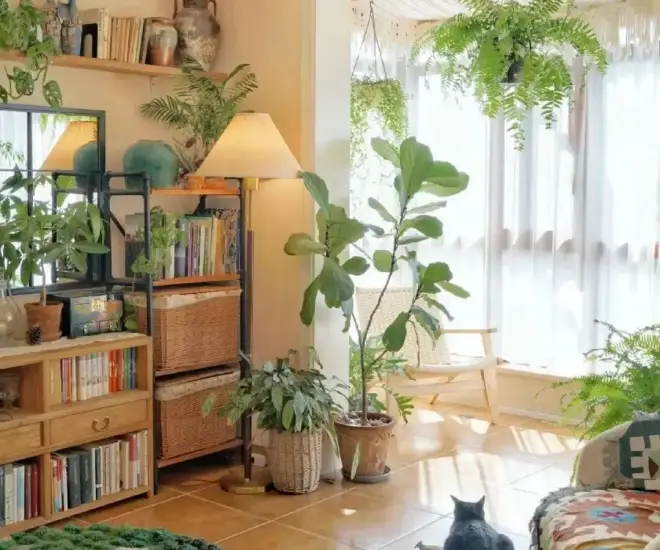 3 vị trí trong nhà dù trống cũng đừng trồng hoa, nếu không càng chăm cây càng héo, vận may tuột khỏi tay - 1