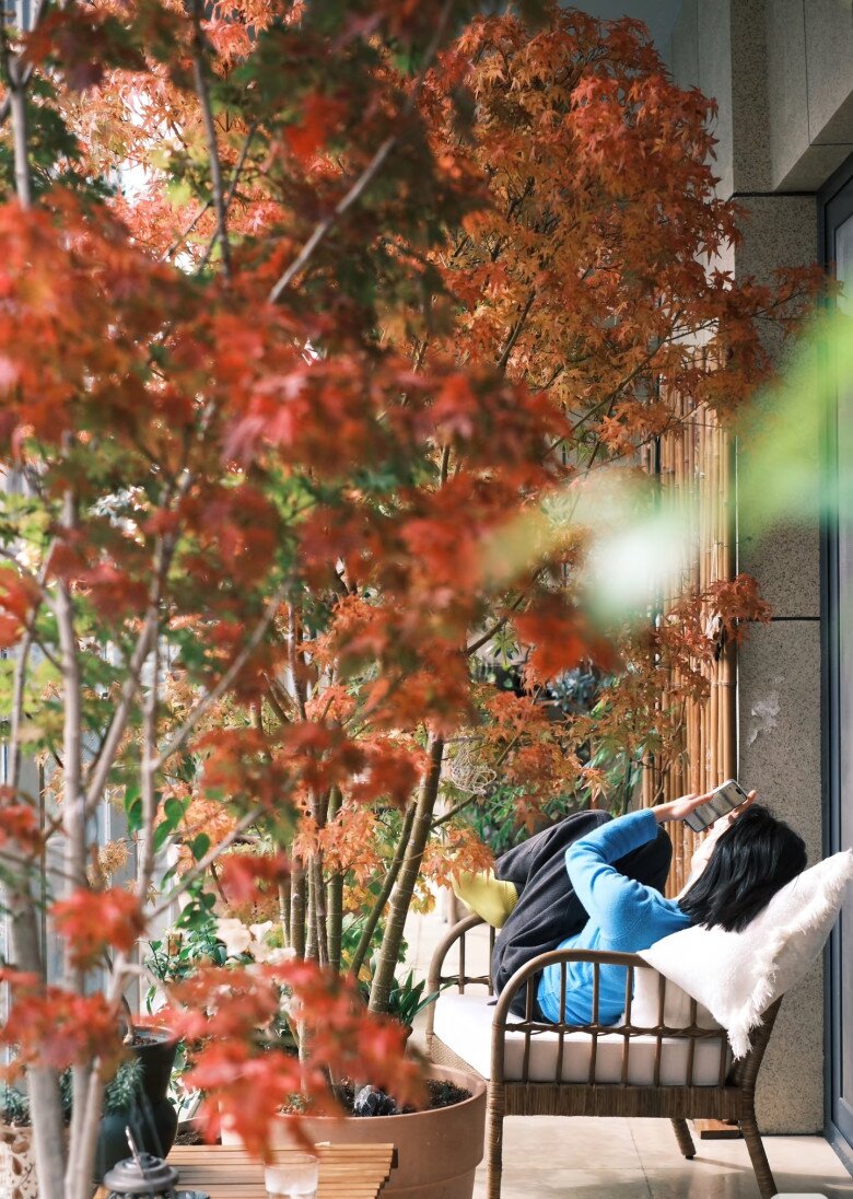 9X biến ban công thành thiên đường mùa thu bằng cây amp;#34;tài lộcamp;#34; này, thu về ngay tại nhà, may mắn cũng gõ cửa - 2