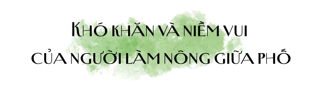 Bác sĩ Đông y Hà Nội chi gần 100 triệu trồng rau nuôi cá trên sân thượng: Rau xanh tốt, hoa nở rực rỡ 4 mùa - 6