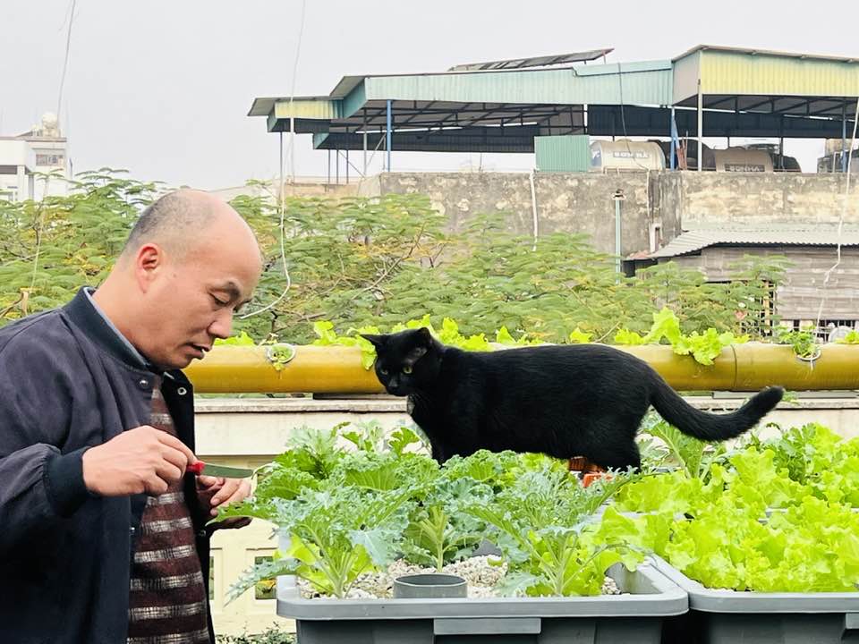 Bác sĩ Đông y Hà Nội chi gần 100 triệu trồng rau nuôi cá trên sân thượng: Rau xanh tốt, hoa nở rực rỡ 4 mùa - 15