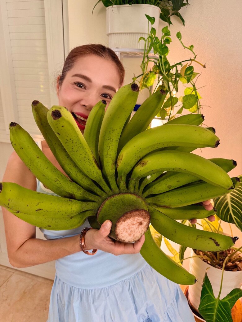 Ca sĩ Mỹ Lệ cho biết, trái chuối dài gần 2 gang tay, to chưa từng thấy. Cái vườn mình trồng ra nhiều thứ không tin được ấy. Đất kết người thật, nữ ca sĩ tự hào nói.