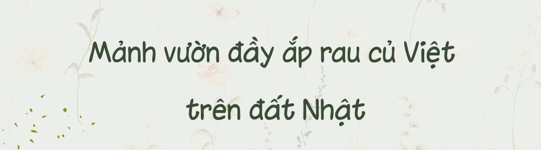 Xem thêm: Đình Nghĩa tranh thủ thời gian buổi sáng chăm sóc vườn rau