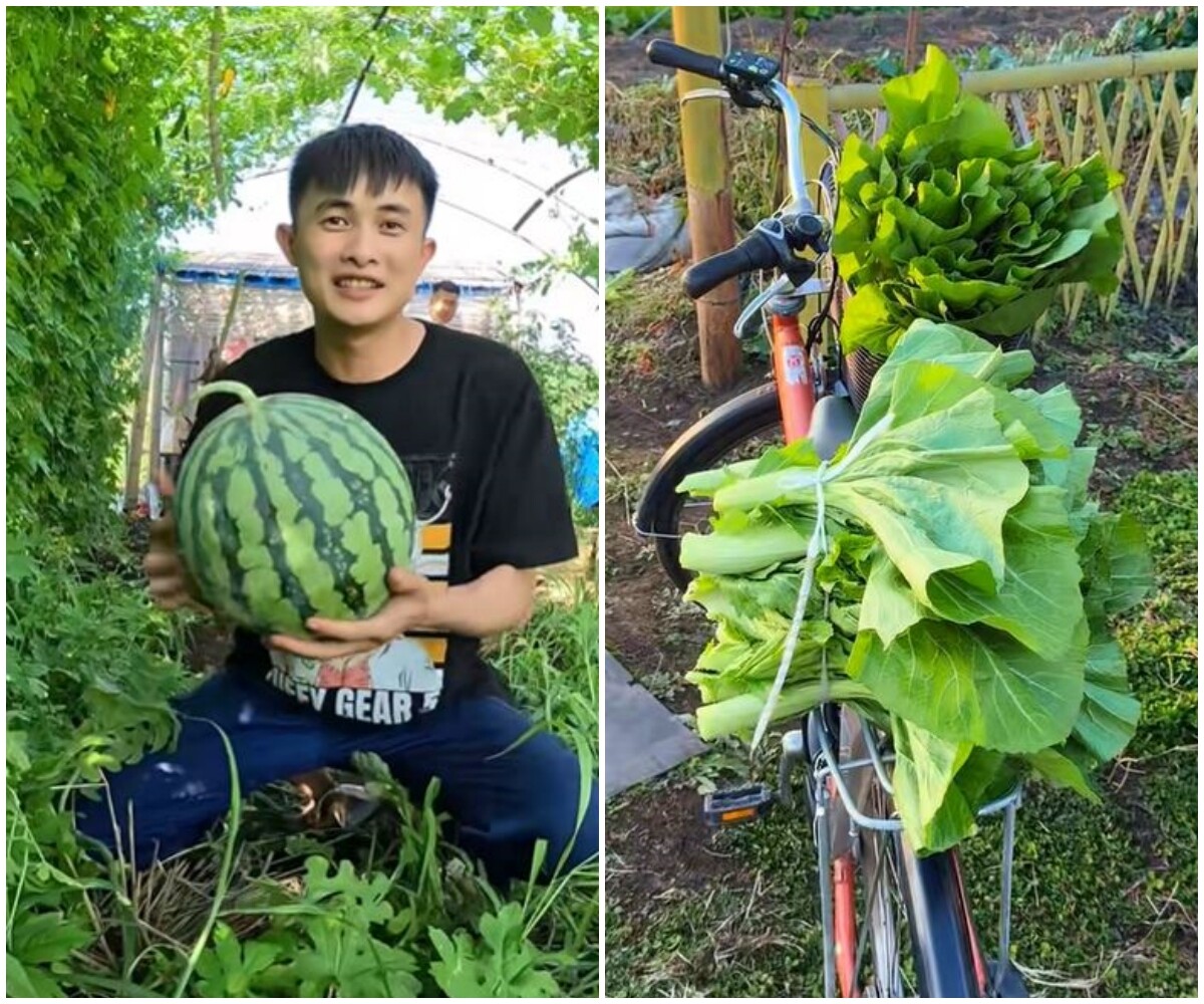 Chàng trai 10X thuê mảnh đất 400m2 ở Nhật Bản, trồng đầy ắp rau củ Việt - 6