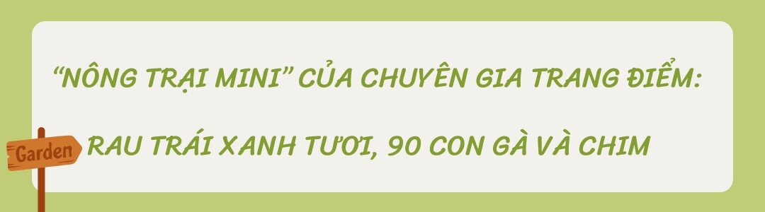 Chuyên gia trang điểm chi 20 triệu làm trang trại trên sân thượng, mảnh vườn 90m2 đủ loại rau trái, 90 con gà và chim - 1