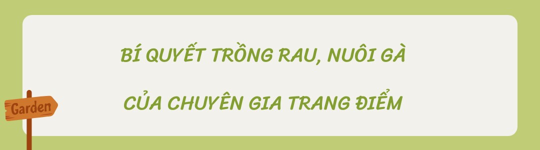 Chuyên gia trang điểm chi 20 triệu làm trang trại trên sân thượng, mảnh vườn 90m2 đủ loại rau trái, 90 con gà và chim - 10