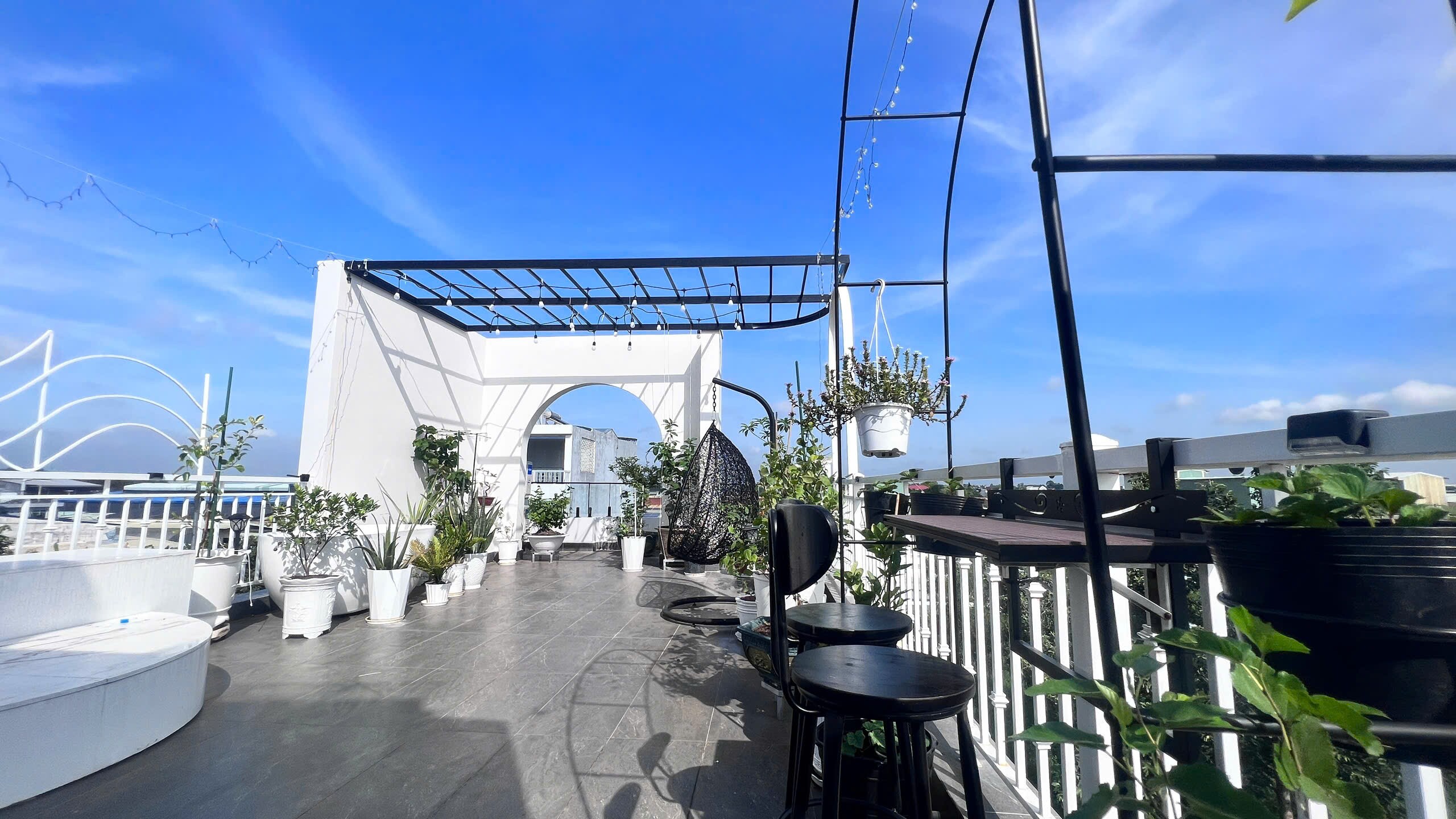 Chuyên gia trang điểm chi 20 triệu làm trang trại trên sân thượng, mảnh vườn 90m2 đủ loại rau trái, 90 con gà và chim - 9