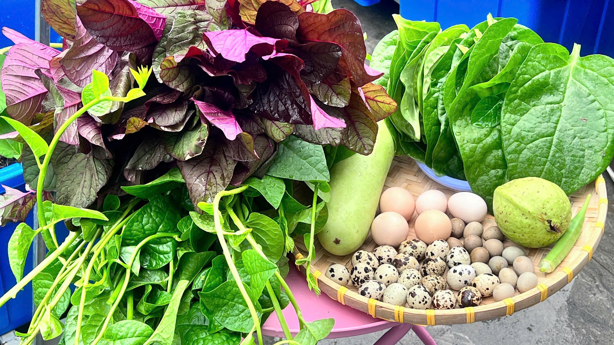 Chuyên gia trang điểm chi 20 triệu làm trang trại trên sân thượng, mảnh vườn 90m2 đủ loại rau trái, 90 con gà và chim - 12