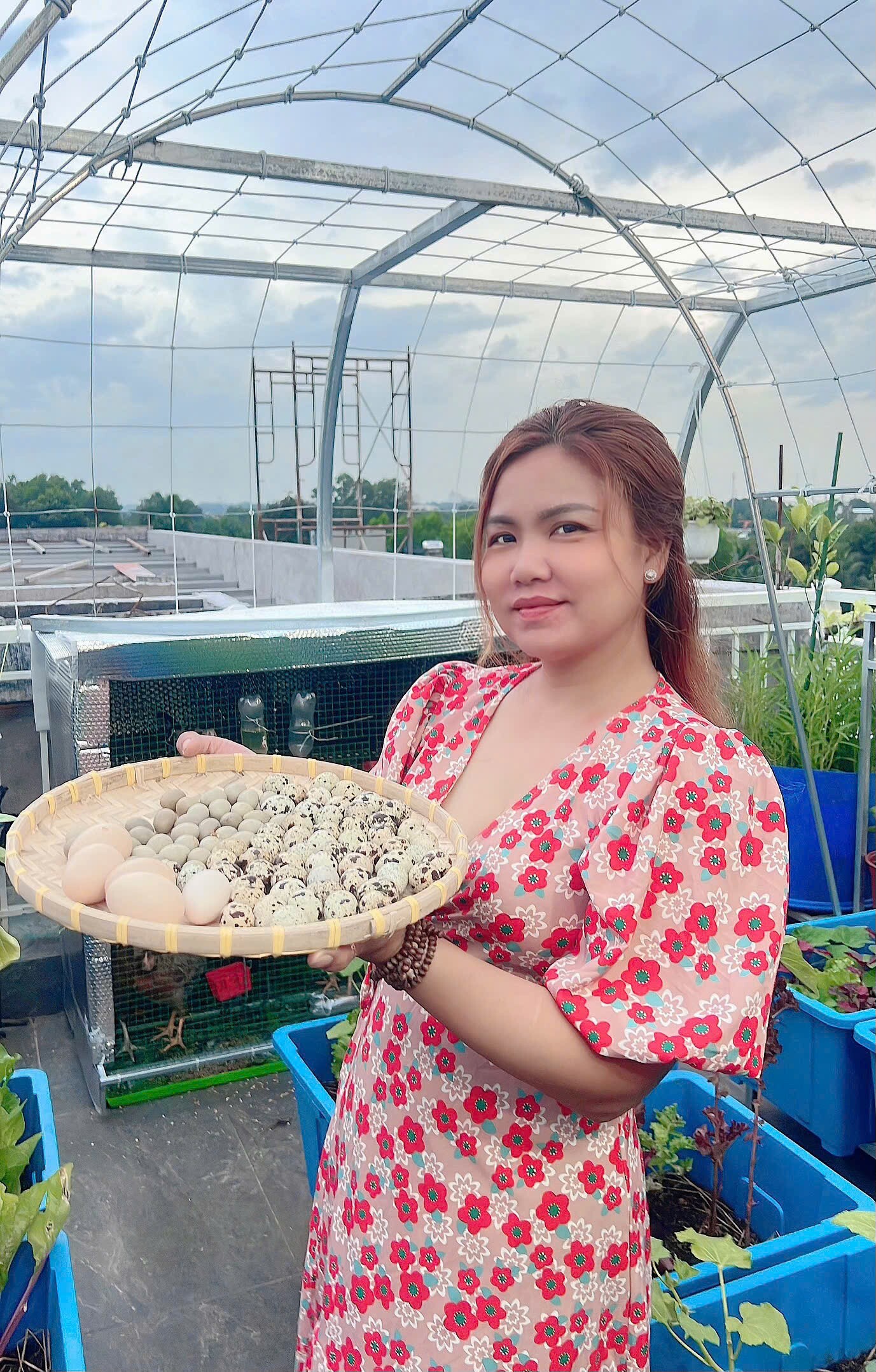 Chuyên gia trang điểm chi 20 triệu làm trang trại trên sân thượng, mảnh vườn 90m2 đủ loại rau trái, 90 con gà và chim - 2