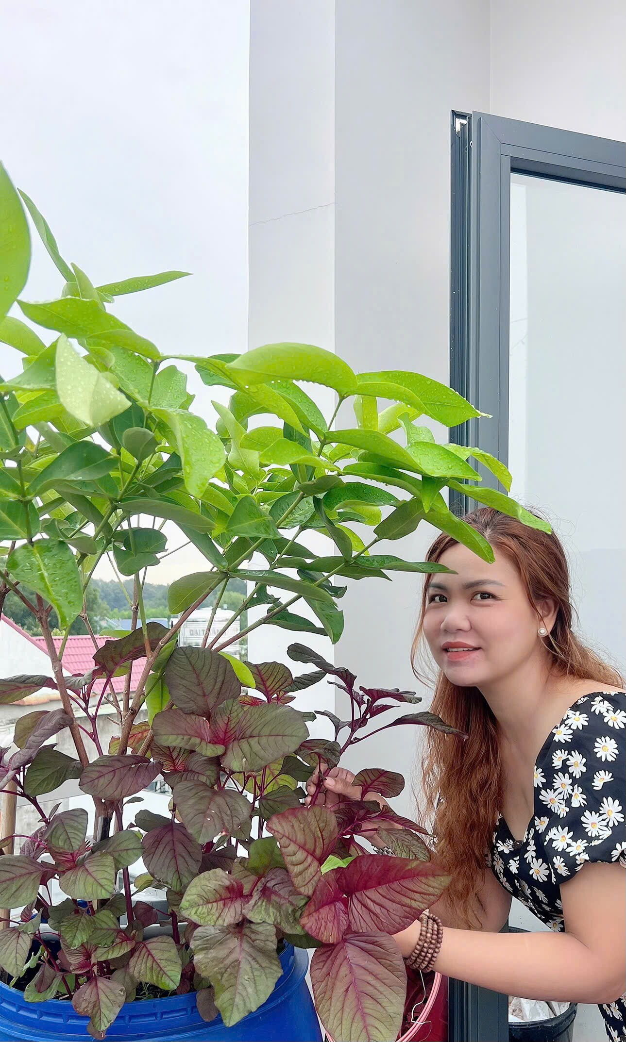 Chuyên gia trang điểm chi 20 triệu làm trang trại trên sân thượng, mảnh vườn 90m2 đủ loại rau trái, 90 con gà và chim - 14