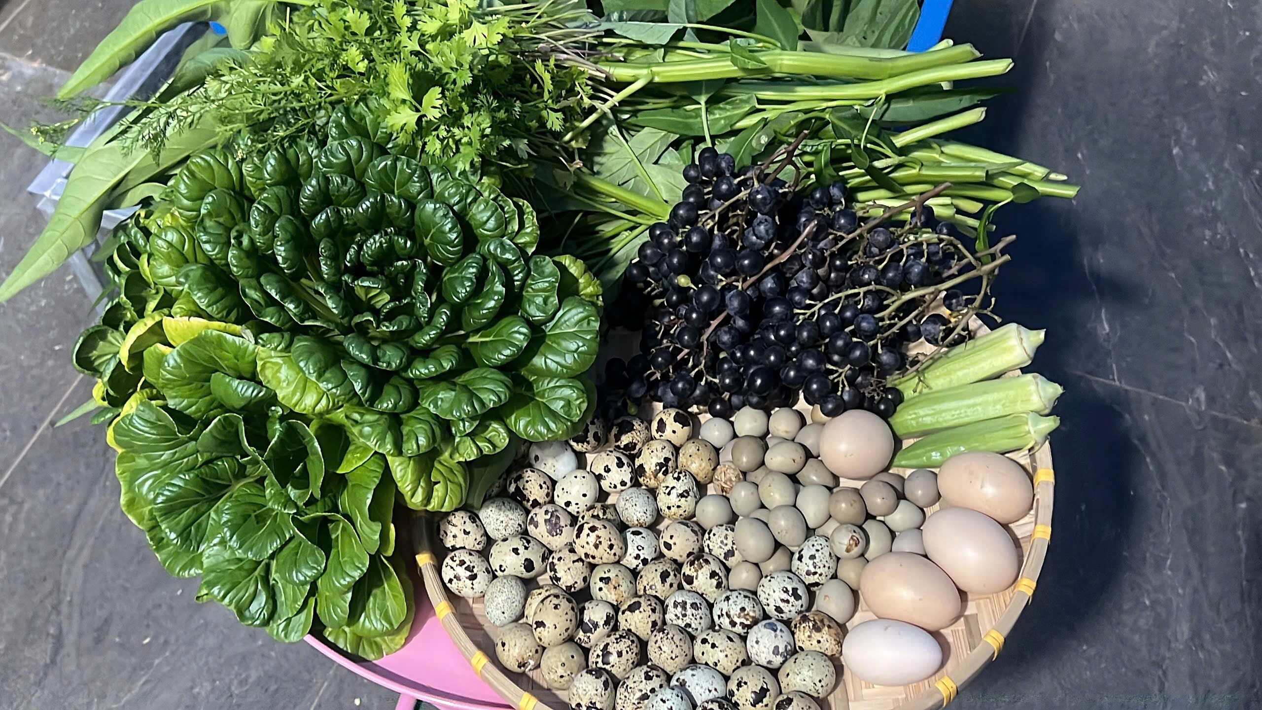 Chuyên gia trang điểm chi 20 triệu làm trang trại trên sân thượng, mảnh vườn 90m2 đủ loại rau trái, 90 con gà và chim - 11