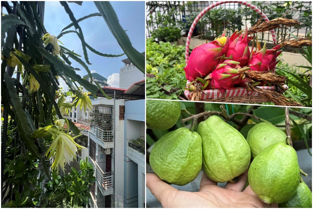 Cô giáo Hà Nội gieo mầm xanh từ vườn rau sân thượng 150m2 đến lớp học: Hạnh phúc là khi thấy rau xanh, trò tiến bộ từng ngày - 16
