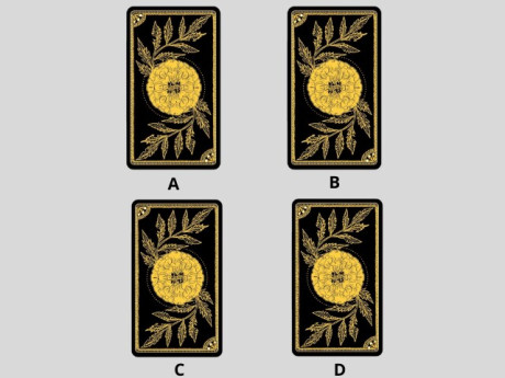 Trắc nghiệm: Người ấy có thật sự chân thành với bạn? Chọn một lá là rõ ngay!