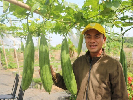 8X TPHCM biến mảnh đất trống thành khu vườn đặc biệt, kể chuyện quê hương