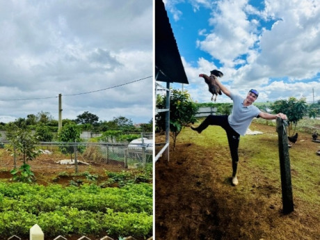 Giám đốc ở TPHCM "trốn phố", làm nhà vườn 3.000m² xanh mát ở Lâm Đồng