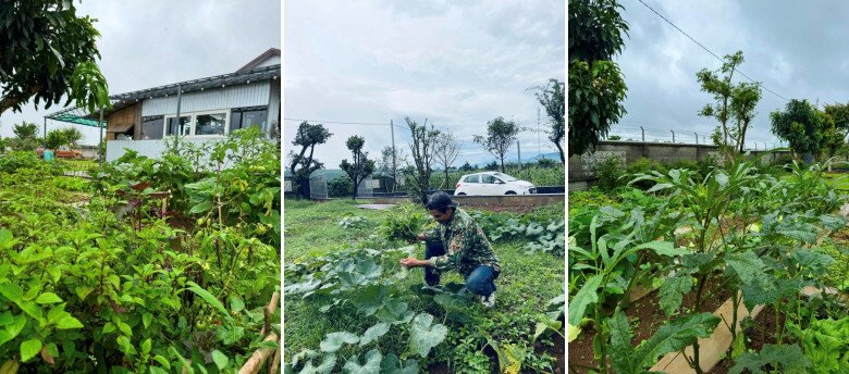 Giám đốc ở TPHCM amp;#34;trốn phốamp;#34;, làm nhà vườn 3.000m² xanh mát ở Lâm Đồng - 6